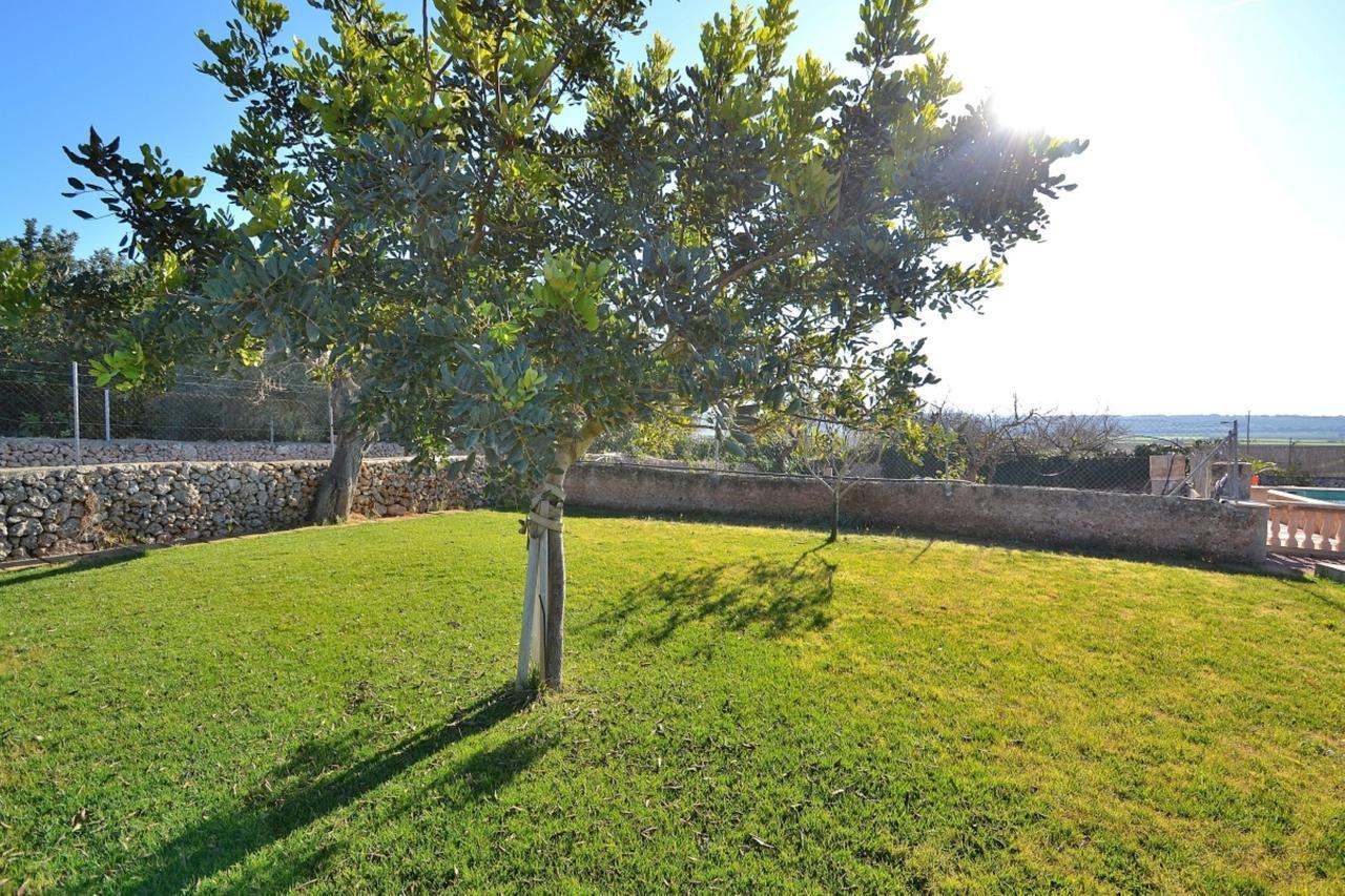 078 Finca Sa Rota Vt1953 By Mallorca Charme Ariany Zewnętrze zdjęcie