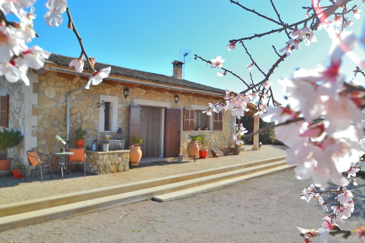 078 Finca Sa Rota Vt1953 By Mallorca Charme Ariany Zewnętrze zdjęcie